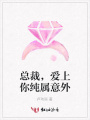總裁，愛上你純屬意外