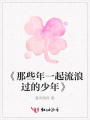 《那些年一起流浪過的少年》