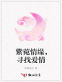 紫菀情緣，尋找愛情