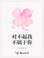 對不起我不屬于你