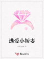 逃愛小嬌妻