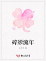 碎影流年