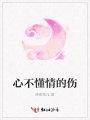 心不懂情的傷