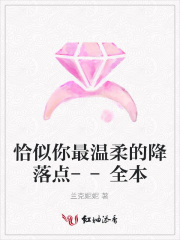 恰似你最溫柔的降落點--全本