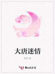 大唐迷情