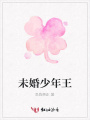 未婚少年王