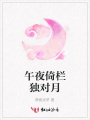 午夜倚欄獨(dú)對(duì)月