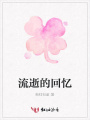 流逝的回憶