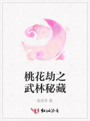 桃花劫之武林秘藏