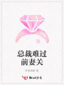 總裁難過前妻關