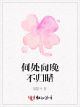 何處向晚不歸晴
