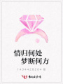 情歸何處夢斷何方
