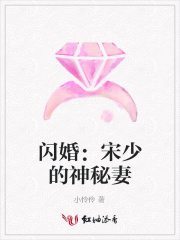 閃婚：宋少的神秘妻
