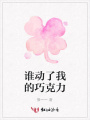 誰動了我的巧克力