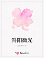 斜陽微光