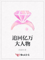 追回億萬大人物