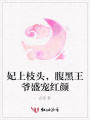 妃上枝頭，腹黑王爺盛寵紅顏