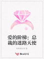 愛的階梯：總裁的迷路天使