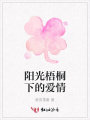 陽光梧桐下的愛情