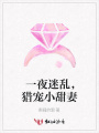 一夜迷亂，獵寵小甜妻