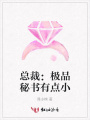 總裁：極品秘書有點小