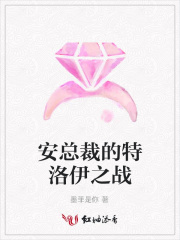 安總裁的特洛伊之戰