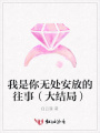 我是你無處安放的往事（大結局）
