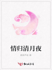 情歸清月夜