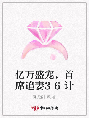 億萬盛寵，首席追妻36計