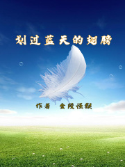 劃過藍天的翅膀