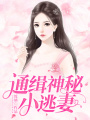 通緝神秘小逃妻
