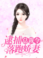 總裁令：逮捕落跑嬌妻
