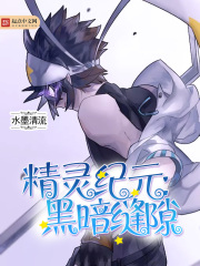 精靈之黑暗縫隙