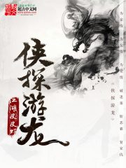 俠探游龍