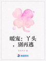 暖寵：丫頭，別再逃