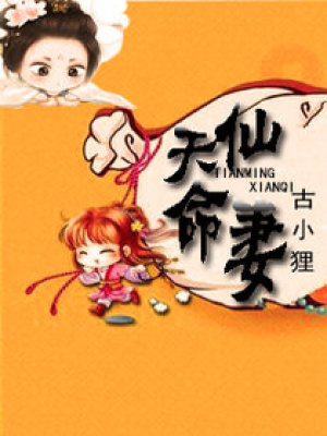 天命仙妻