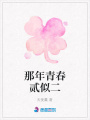 那年青春貳似二