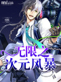 無限之次元風(fēng)暴