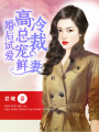 婚后試愛：高冷總裁寵鮮妻