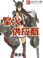 軍火供應商