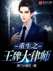 重生之王牌大律師