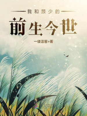 我和顧少的前生今世