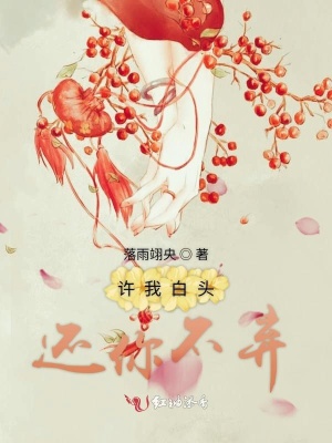 許我白頭，還你不棄