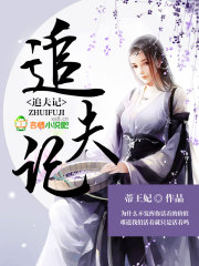 追夫記