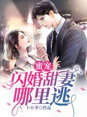 蜜寵：閃婚甜妻哪里逃