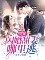 蜜寵：閃婚甜妻哪里逃