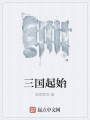 三國(guó)起始
