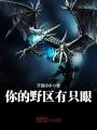 你的野區有只眼