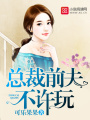 總裁前夫不許玩