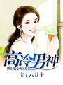 高冷男神暖寵小嬌妻